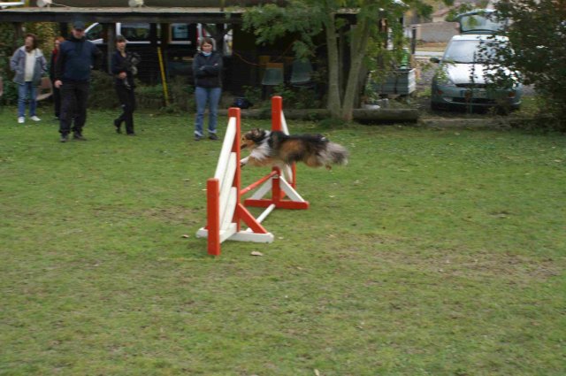 agility 2011-10-30